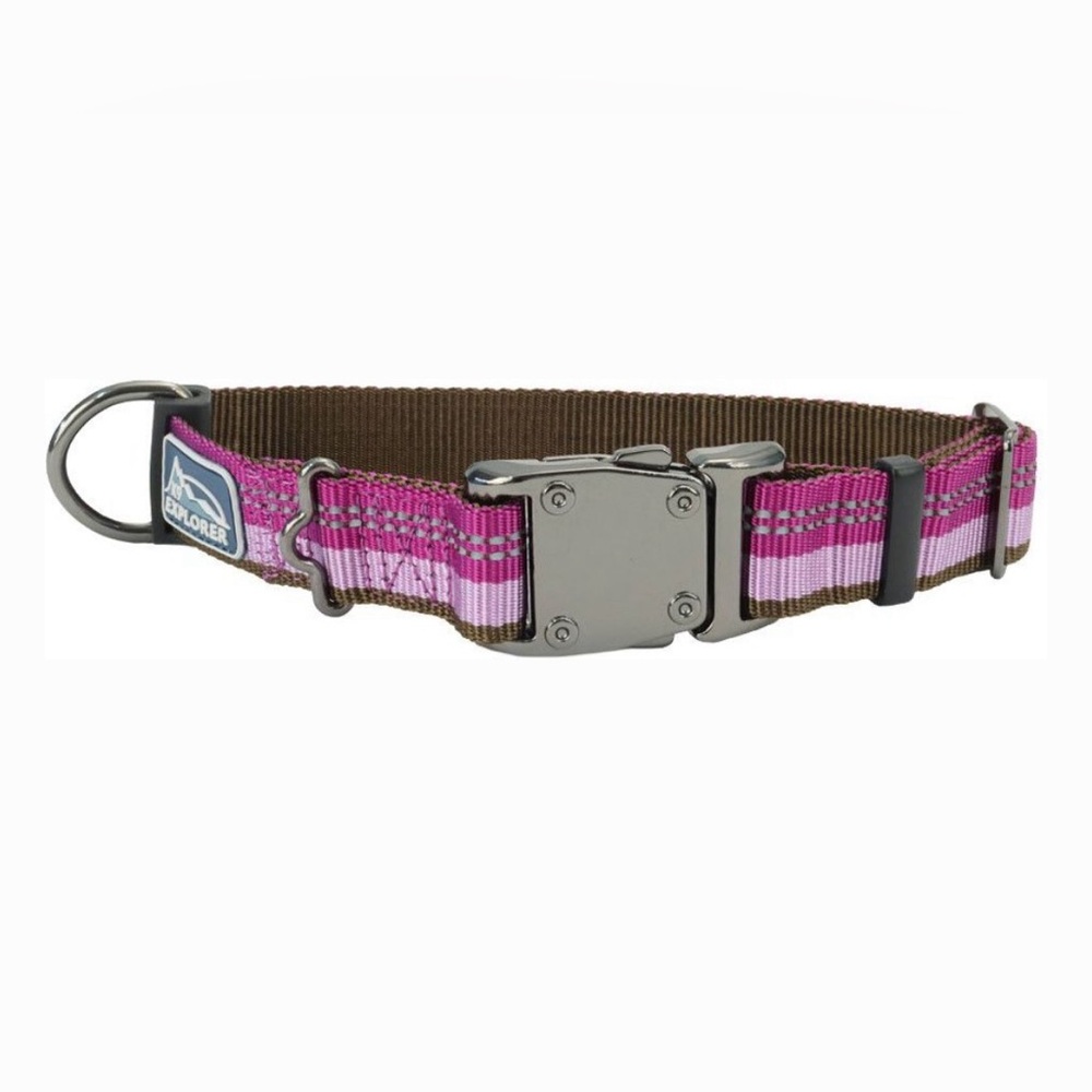 Coastal K9 Explorer Reflective Adjustable Dog Collar, Orchid, Small